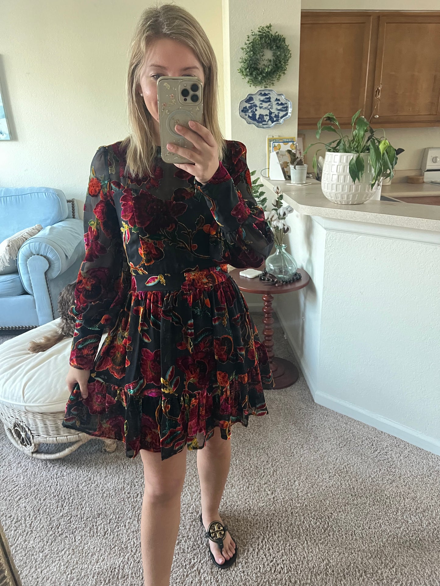 A Dozen Roses Velvet Dress